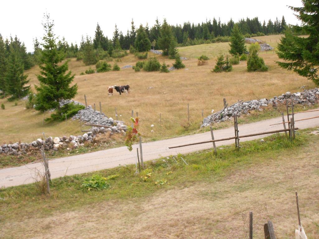 Zabljak Izdavanje Kuce Eksteriør bilde